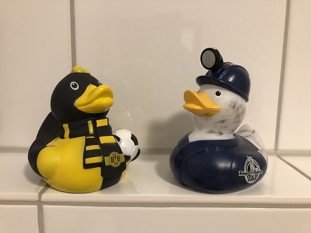 Free Ducks Bath Duck photo and picture