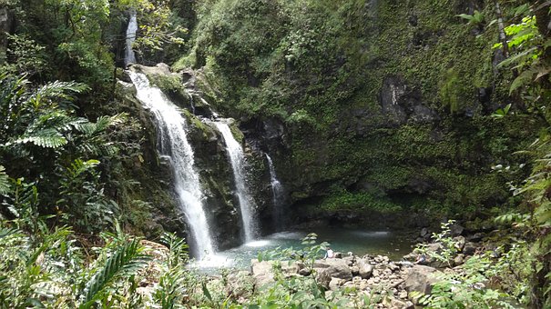 Free Maui Hawaii photo and picture
