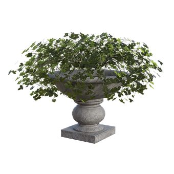 Free Planter Plants illustration and picture