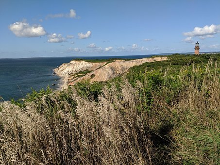 Free Lighthouse Shore photo and picture