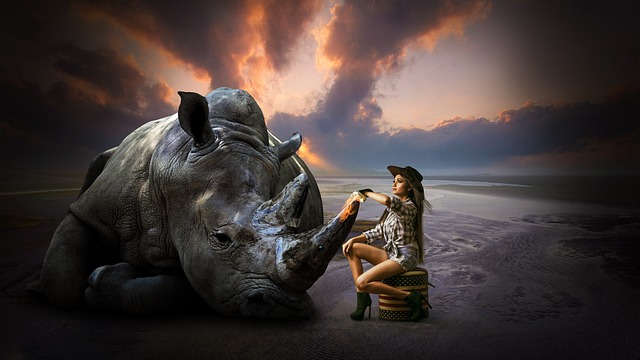 Free People Animal photo and picture