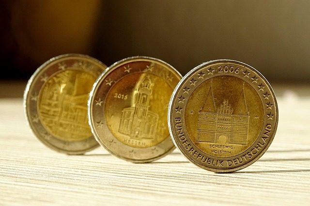 Free Coin Euro photo and picture