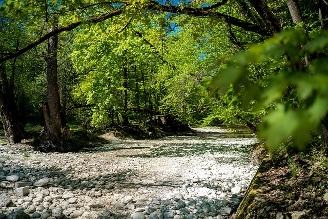 Free River Bed Stones photo and picture