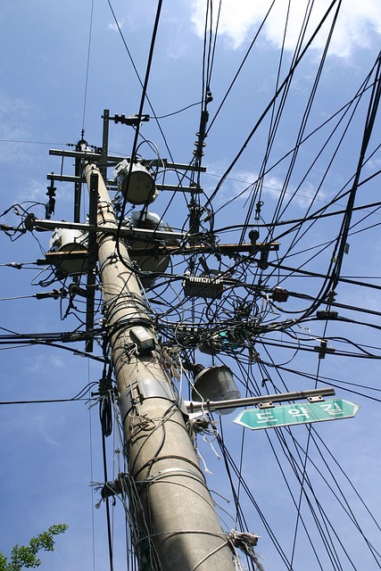 Free Electric Power Pole photo and picture