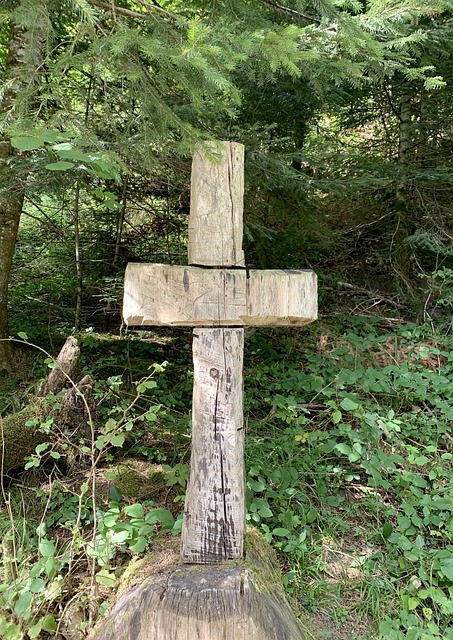 Free Cross Forest photo and picture