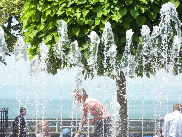 Free Water Feature Lake Constance photo and picture