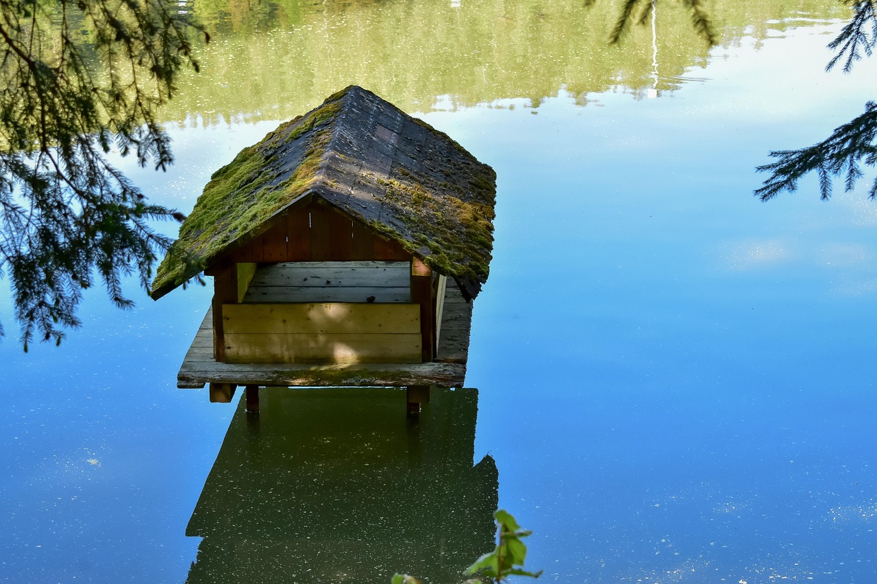 Goose House Water Free photo on Pixabay Pixabay