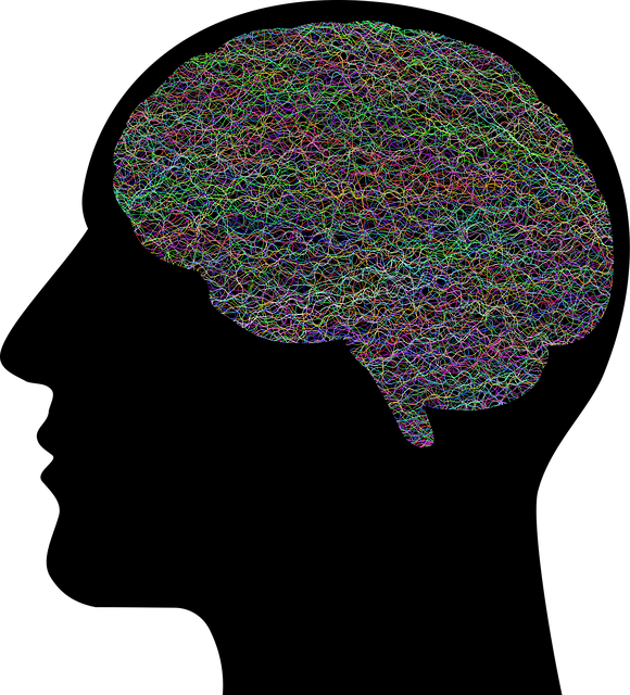 Free brain think psychology vector
