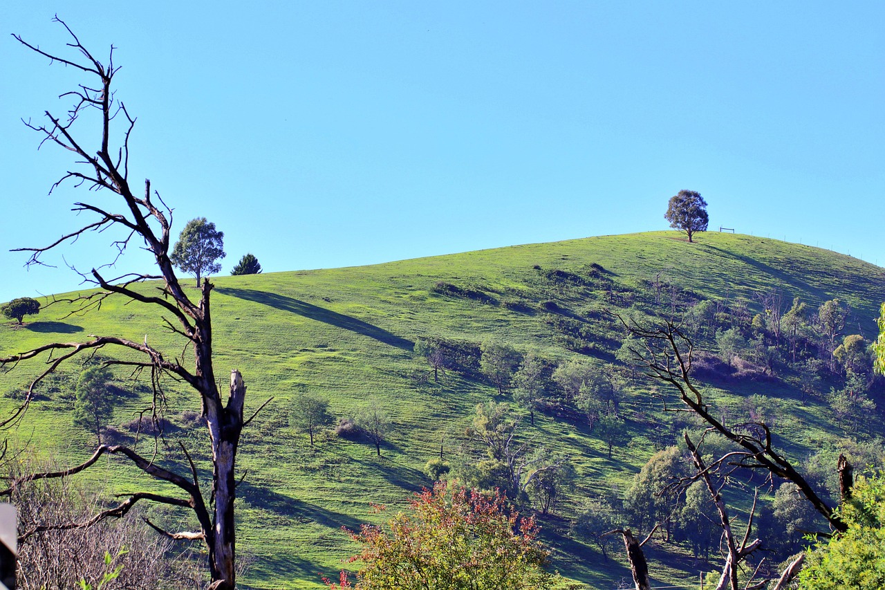Landscape - free online jigsaw puzzle photo