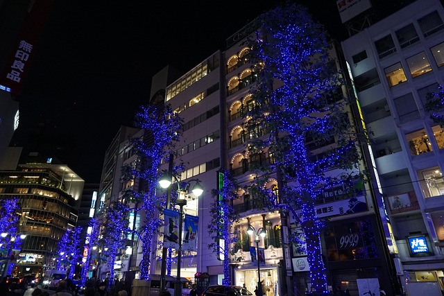 Free Tokyo Night photo and picture