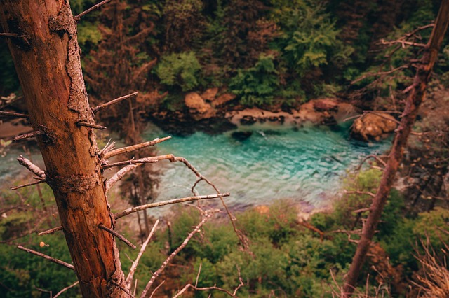 Free Water River photo and picture
