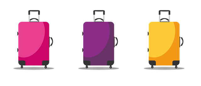 Free suitcase vacations travel illustration