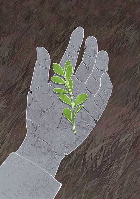 Free illumination imagination creativity illustration