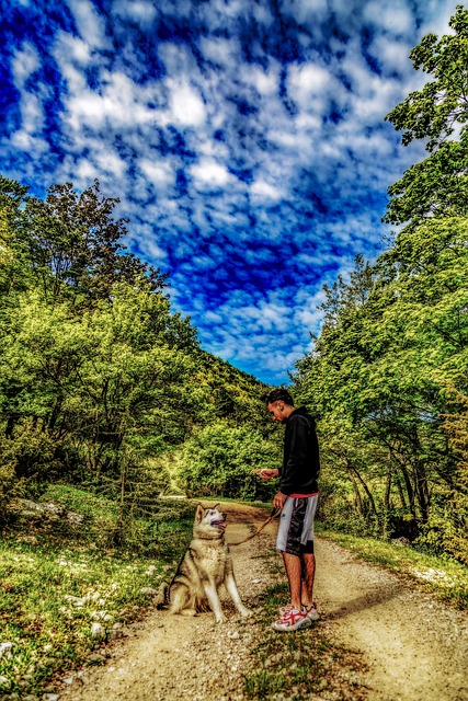 Free Nature Dog photo and picture