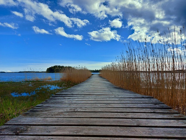 Free Pier Ocean photo and picture
