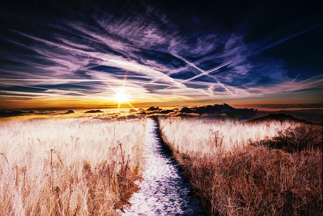 Free Field Composite photo and picture