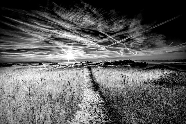 Free Field Composite photo and picture
