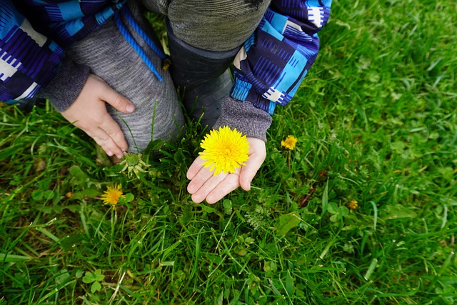 Free Grass Flower photo and picture