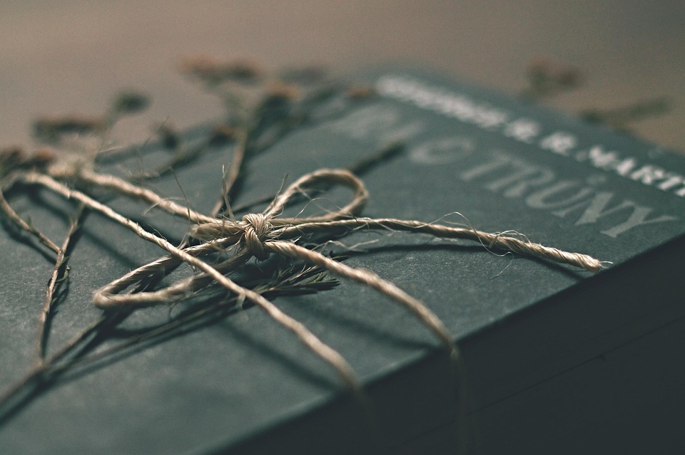 Livre Game Of Thrones Chaîne De - Photo gratuite sur Pixabay - Pixabay