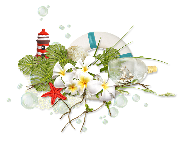 Free summer sea nautical illustration