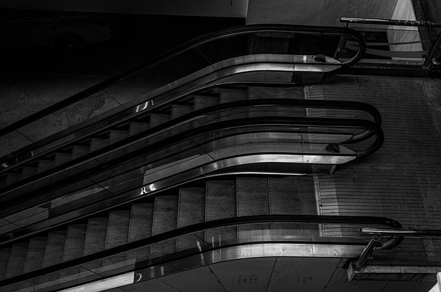 Free Black White The Escalator photo and picture