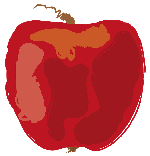Äpfel, Apfel, Das Obst, Rot, Obst