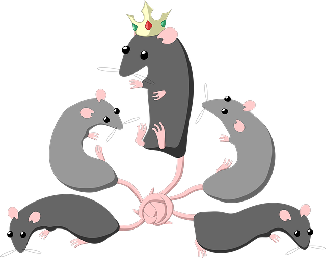 Free rat king mouse illustration