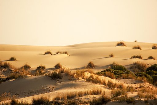 Duna, Arena, Desierto, Dunas, Seca