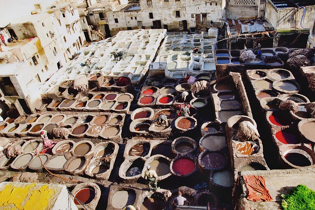 Free Tannery Fes photo and picture