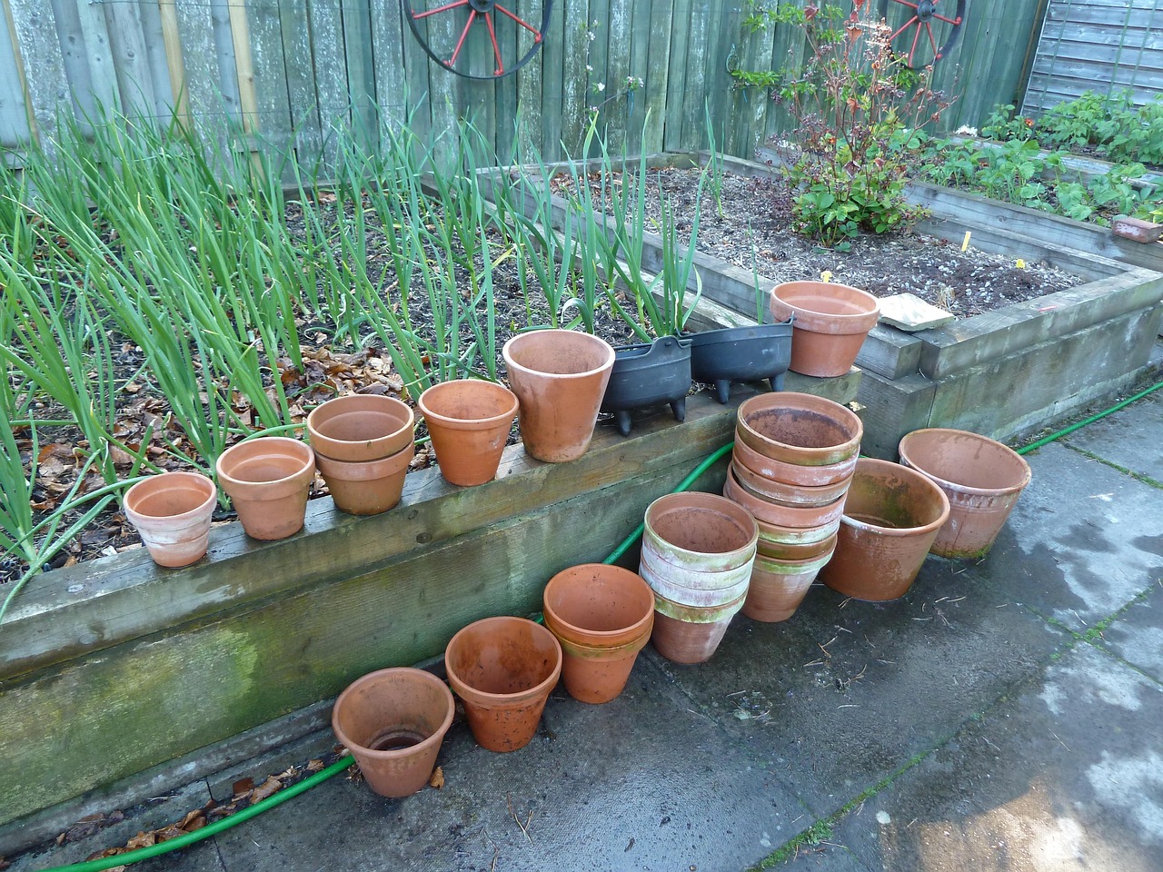 500 brown clay