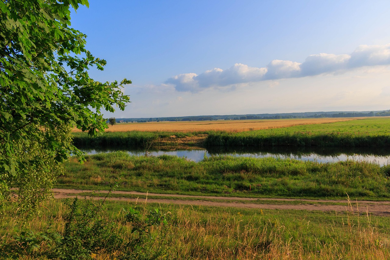 Paisaje Rural Rio Río Paisaje Amanecer El - Foto gratis en Pixabay - Pixabay