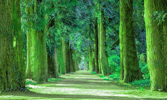 500 無料クールな背景 クール画像 Pixabay
