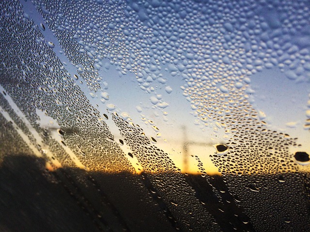 Free Sunrise Water photo and picture