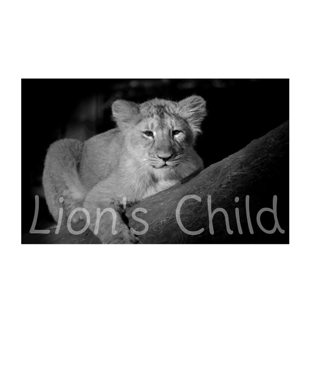 Download Lion, Baby, Child. RoyaltyFree Stock Illustration Image Pixabay