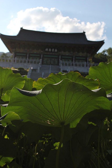 Free Section Temple photo and picture