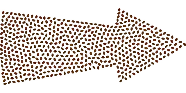 Free coffee coffee beans arrow vector