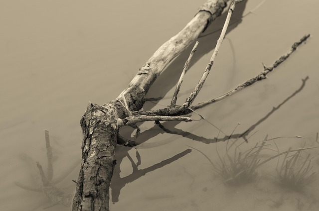 Free Water Reflection photo and picture
