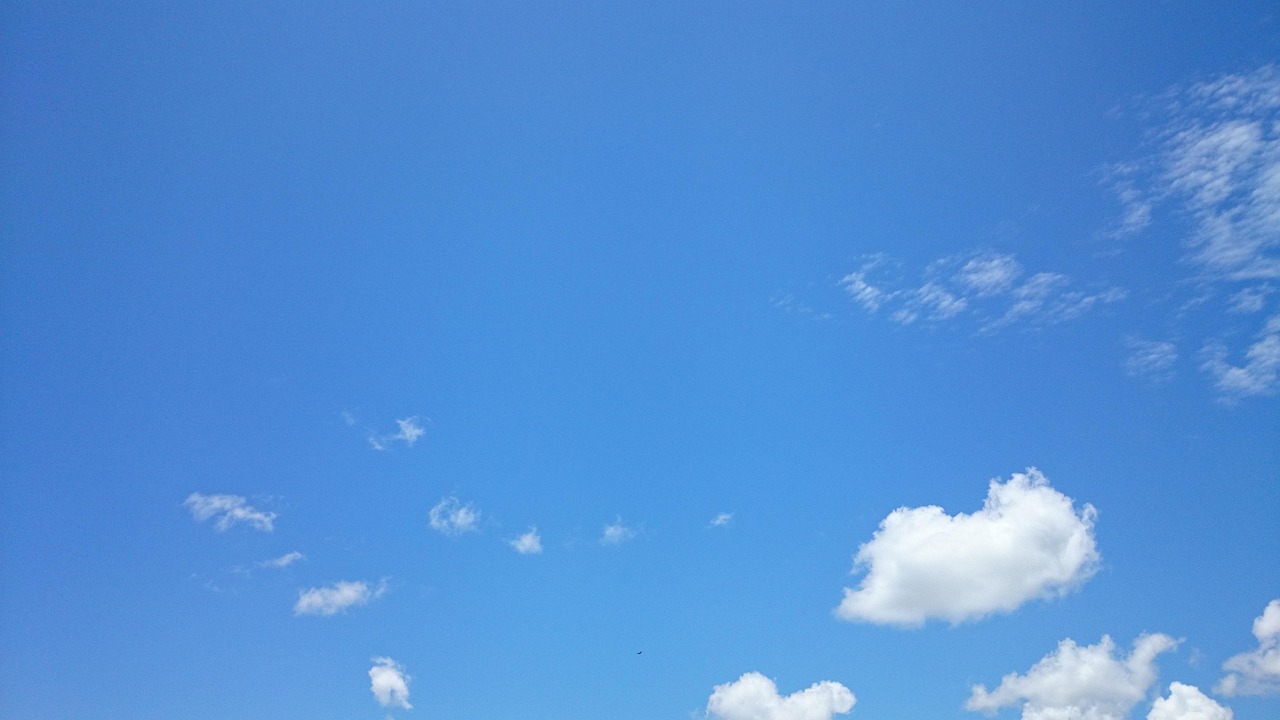 How Cielo Despejado Influences Nature and Wildlife Behavior