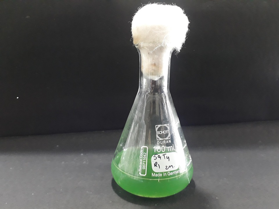 Spirulina Culture Flask Method Free photo on Pixabay Pixabay
