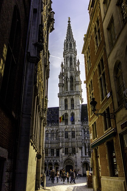 Free Bruxelles Beffrois photo and picture