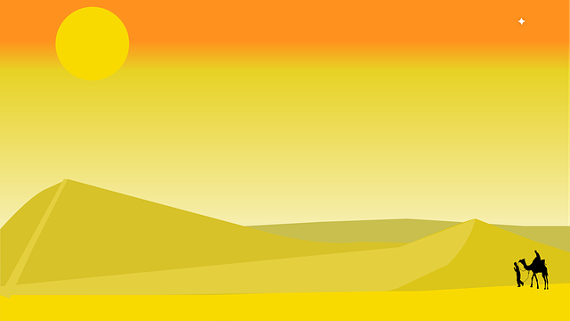 Free desert sun camel vector