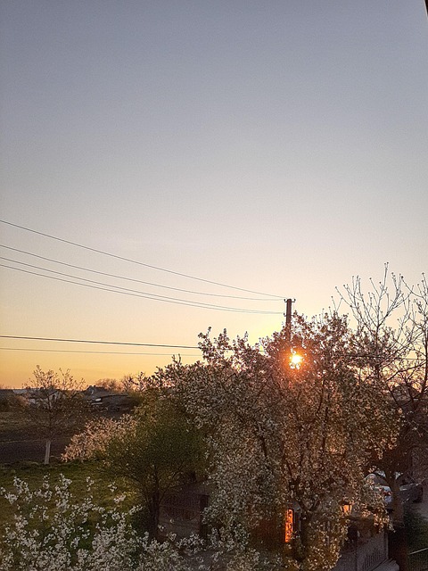 O Recolhimento, Sol, Natureza, Feridas