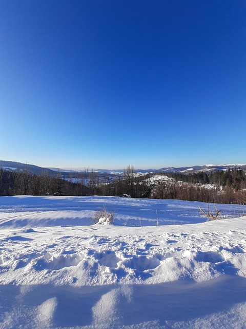 Inverno, Vista A Partir Da Máquina