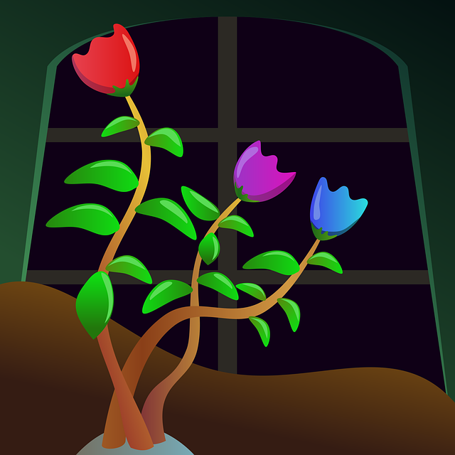 Download free HD stock image of Flowers Red Flower Free flowers red flower flower background vector