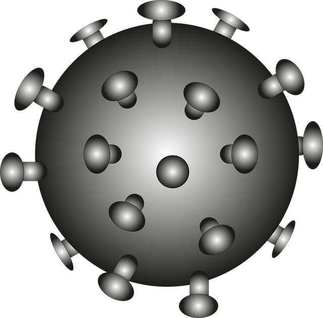 Covid, Virus, Coronavirus, Corona