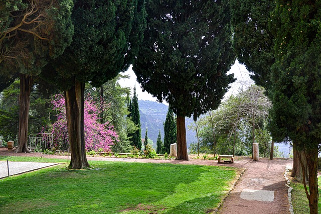 Jardín, Oriental, Césped, Noble, Hierba