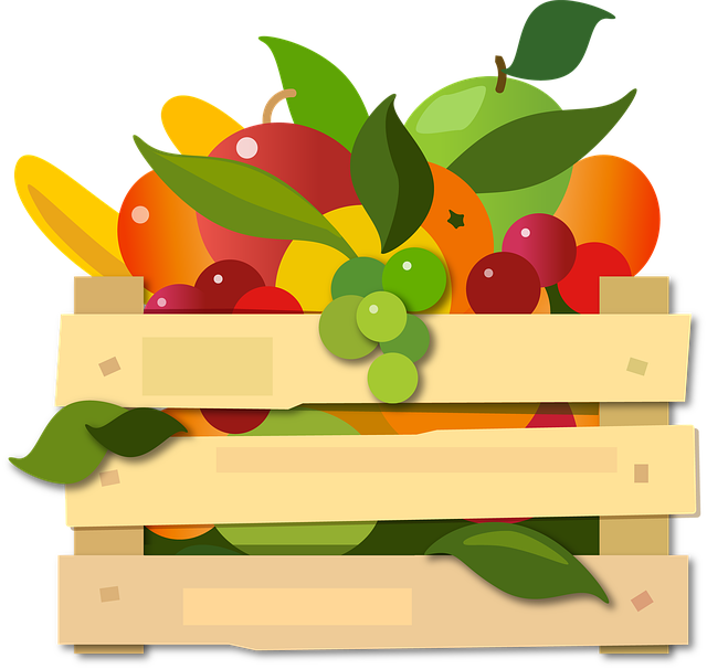 Free fruit cash desk box illustration