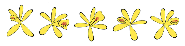 Free vanilla vanilla flower pod illustration