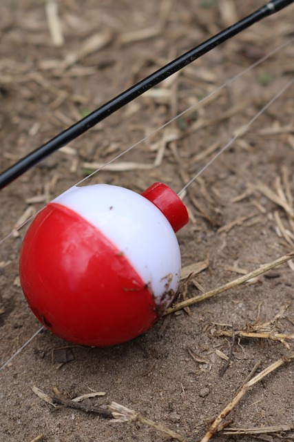 Free Angler Rod photo and picture