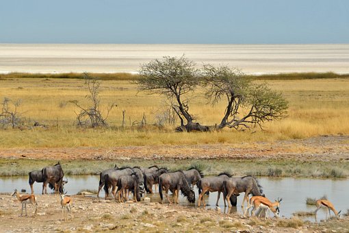Free Namibia Nature photo and picture